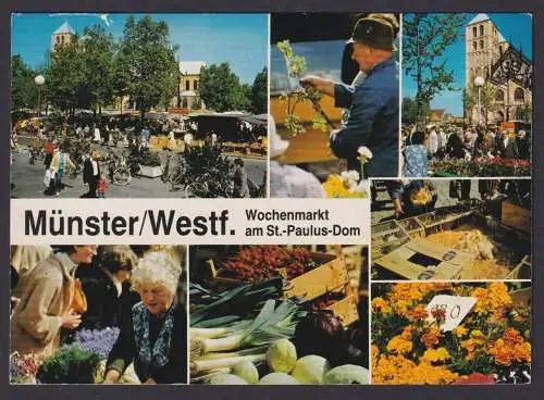 Ansichtskarte Münster Westfalen Wochenmarkt am St. Paulus Dom n. München Bayern