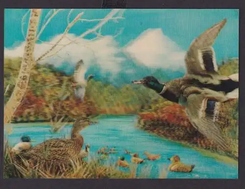 Ansichtskarte 3 D Künstlerkarte Enten Fluss