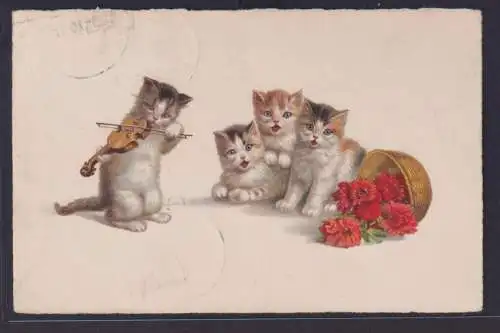 Ansichtskarte Künstlerkarte Katzen Musizieren Blumenschmuck ab Heilbronn Baden