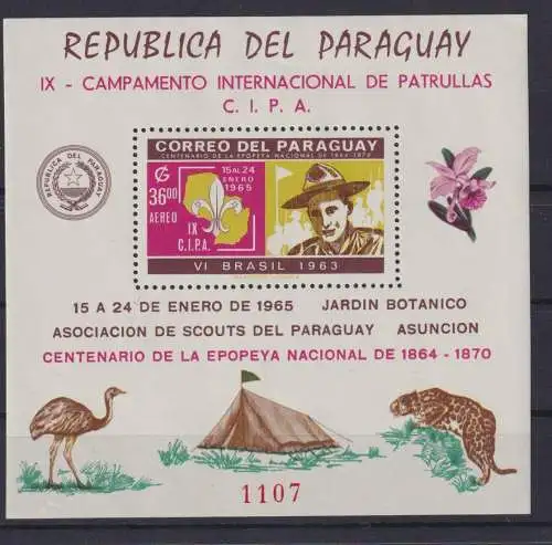 Flugpost Paraguay Pfadfinder Block 65 + 66 ungezähnt Luxus postfrisch Kat 49,00