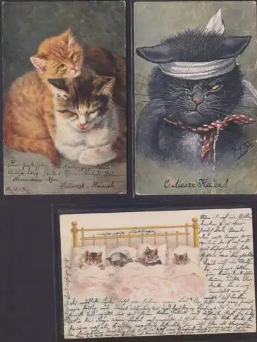 Ansichtskarten Katzen tolles Lot 16 Stück incl. Künstlerkarten wie Arthur Thiele