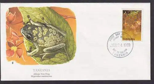 Tansania Ostafrika Fauna Frosch Schöner Künstler Brief