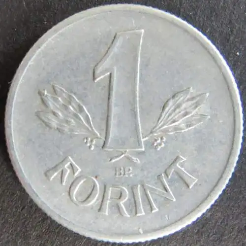 Münze Ungarn 1 Forint Schön 59 1906 s