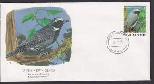 Papua Neuguinea Ozeanien Fauna Vogel Sperling Schöner Künstler Brief