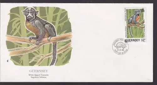 Guernsey Kanalinsel Großbritannien Fauna Affe Tamarin Schöner Künstler Brief