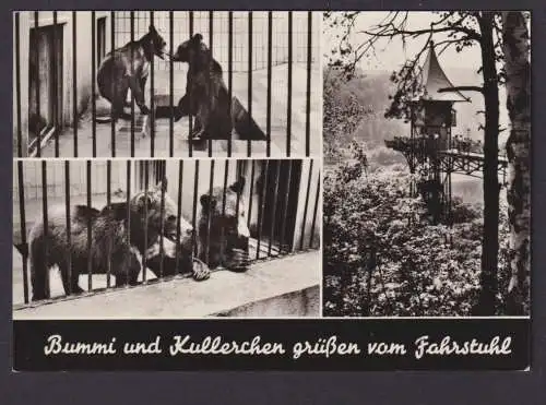 Ansichtskarte Bad Schandau Sachsen Tiere Bären Bummi und Kullerchen