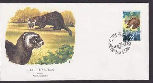 Liechtenstein Fauna Iltis Schöner Künstler Brief