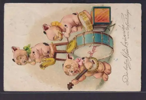 Ansichtskarte Schweine Glücksschweine Scherzkarte Glückwunsch Geburtstag