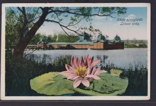 Ansichtskarte Künstlerkarte Heviz Ungarn See Landschaft Seerose nach Wien
