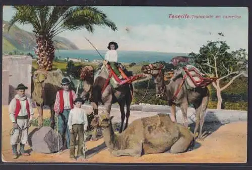 Ansichtskarte Künstlerkarte Teneriffa Insel Transport Camele Meer Palmen