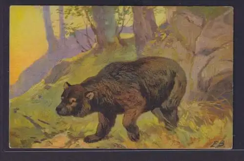 Ansichtskarte Tiere Bären Künstlerkarte Sign. E.B. Bär im Wald