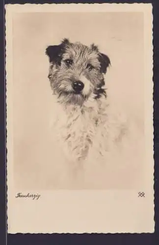Ansichtskarte Hund Treuherzig n. Bergedorf