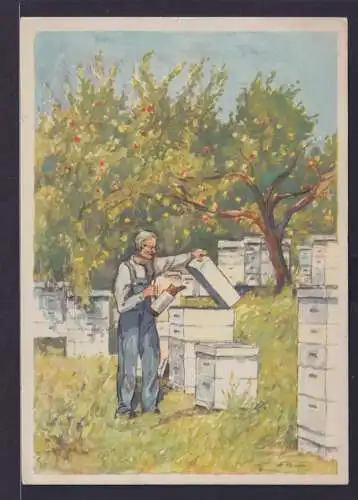 Ansichtskarte Niendorf Künstlerkarte Sign. Honighaus Bienenfleiß