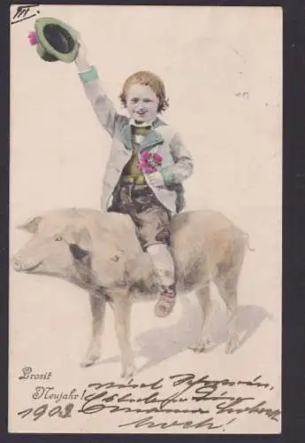 Ansichtskarte Neujahr Schwein Glücksschwein Tiere n. Dresden Sachsen
