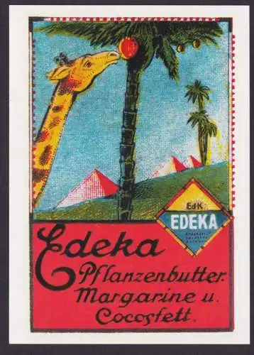 Künstler Ansichtskarte Reklame Werbung Edeka Pflanzenbutter Margarine Cocosfett