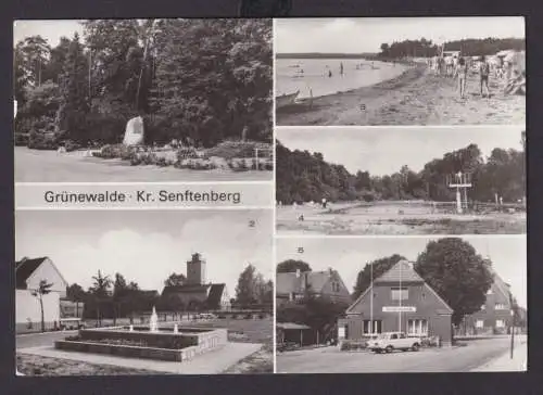 Ansichtskarte Grünewalde Senftenberg Brandenburg Park Teilansicht Naherholungsa