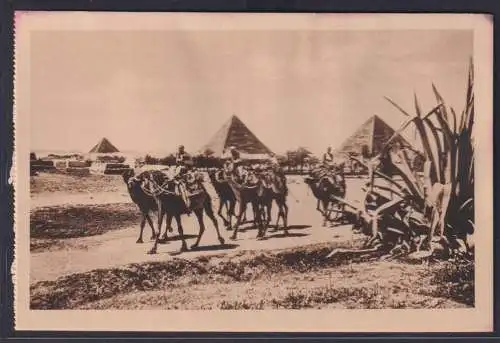 Ansichtskarte Ägypten Beduinen Caravan Pyramide in Giza Kamele