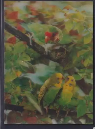 3 D Color Ansichtskarte Vögel Bäume Printing Studio Zürich nach Schulzendorf