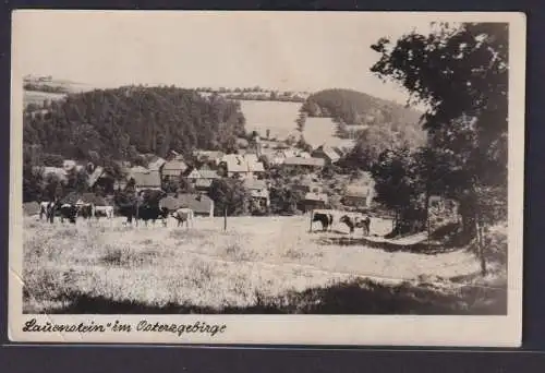 Ansichtskarte Lauenstein Erzgebirge Sachsen Ortsansicht ab Falkenhain nach