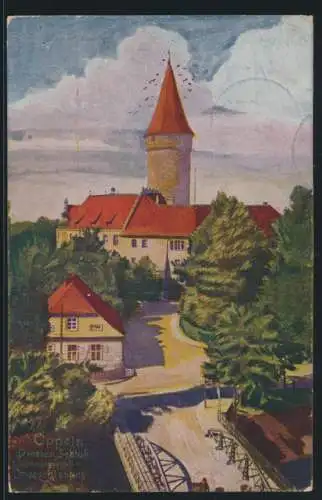 Ansichtskarte Oppeln Schloß Abstimmungsgebiet Ober Schlesien nach Ilmenau