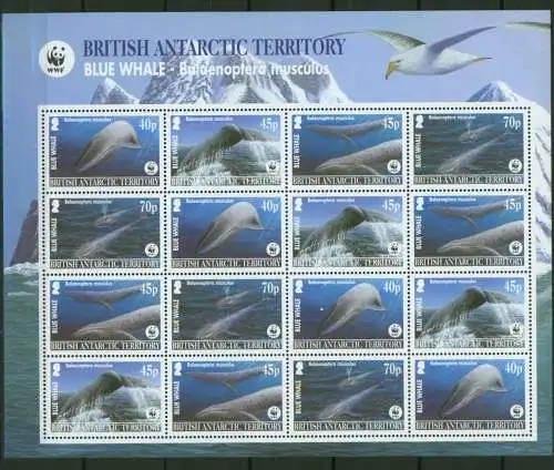 Britische Antarktis 353-356 WWF Wale Meeressäuger Kleinbogen Tiere Luxus ** MNH