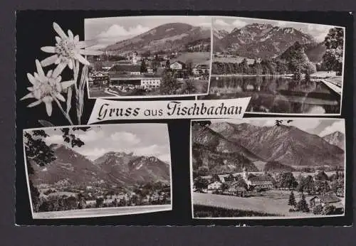 Ansichtskarte Fischbachau Bayern Bayerische Alpen ab Elbach n. Murnau