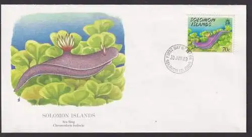 Salomon Inseln Südpazific Fauna Landschnecke Schöner Künstler Brief