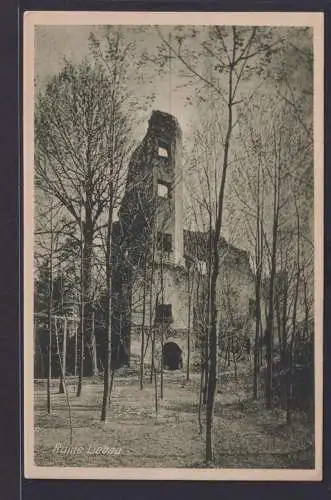 Ansichtskarte Liebau Ruine Vogtland Sachsen
