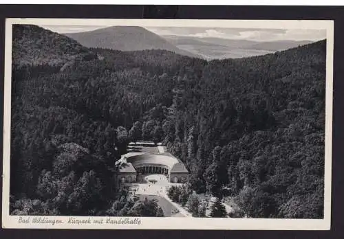 Ansichtskarte Bad Wildungen Hessen Kurpark Wandelhalle Kunstanstalt Cramers