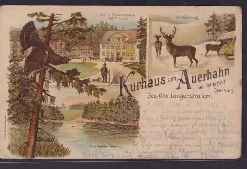 Ansichtskarte Zellerfeld n. Harburg Kurhaus z. Auerhahn Bes. Otto Langenstrassen