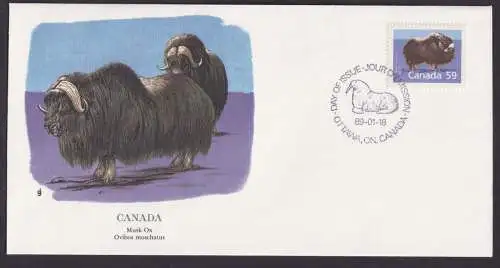 Canada Kanada Nordamerika Fauna Mochusochse schöner Künstler Brief