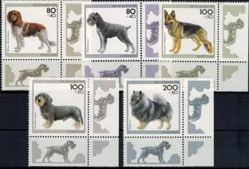 Bund 1797-1801 Jugend Hunde Bogenecke Eckrand unten rechts tadellos postfrisch