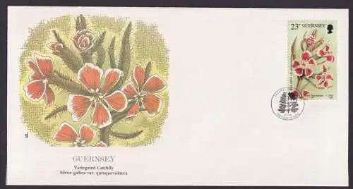 Guersney Kanalinsel Europa Flora Silene Fliegenfänger schöner Künstler Brief