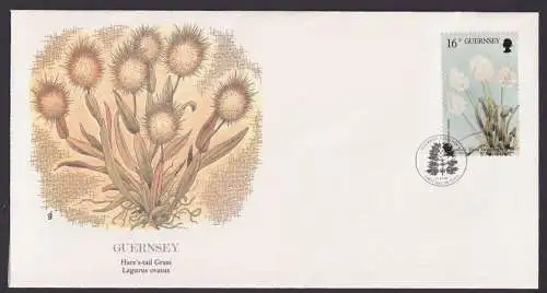 Guersney Kanalinsel Europa Flora Hasenschwanz Gras schöner Künstler Brief