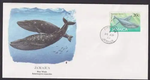 Jamaica Karibik Fauna Blauwal schöner Künstler Brief