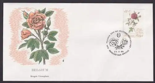 Belgium Beldien Flora Rosen Bengale Triomphant schöner Künstler Brief