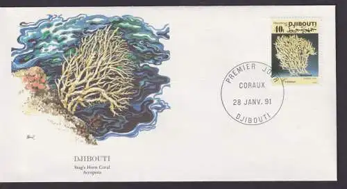 Djibouti Ostafrika Flora SHirschkornkoralle schöner Künstler Brief