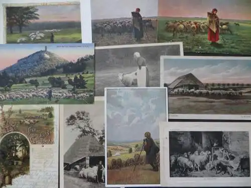 Ansichtskarten Sammlung Schafe Schafherde 49 alte Karten zum Thema