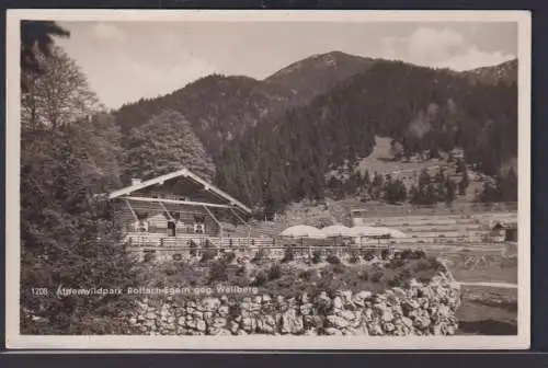 Ansichtskarte Rottach Egern Alpenwildpark Wallberg Gastronomie Landschaft Wald