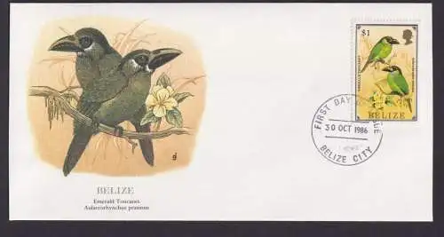 Belize Mittelamerika Fauna Vögel Smaragt Tukan schöner Künstler Brief