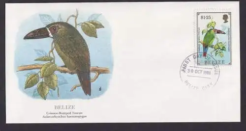 Belize Mittelamerika Fauna Vögel Tukane schöner Künstler Brief
