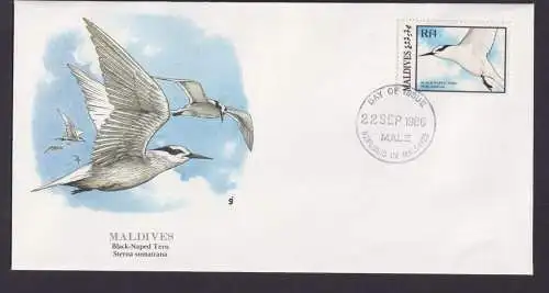 Malediven Südasien Fauna Vögel Seeschwalben schöner Künstler Brief