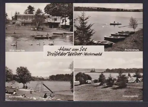 Ansichtskarte Schmidthahn Haus am See Bes. Willi Schneider Campingplatz