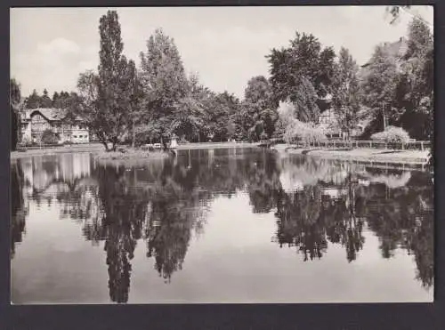 Ansichtskarte Schmalkalden Thüringen Teich n. Hoyerswerda