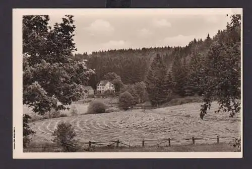 Ansichtskarte Sachsenhausen Waldeck Hessen Urlaub Erholung Pension Pfeifferling