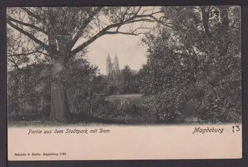 Ansichtskarte Magdeburg Sachsen Anhalt Stadtpark mit Dom