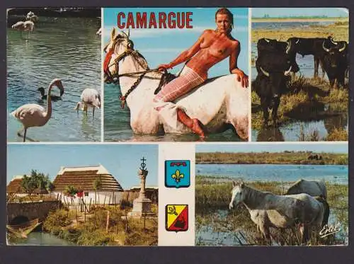 Ansichtskarte Reise Urlaub Camargue Frankreich Versch. Ansichten n. Antwerpen