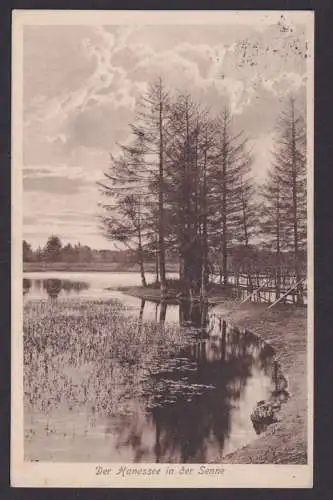 Ansichtskarte Hanessee in d. Senne NRW ab Paderborn n. Gelsenkirchen