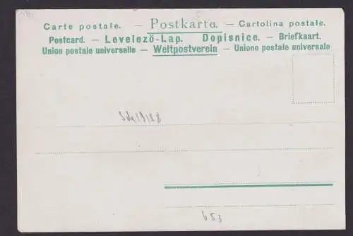 Litho Ansichtskarte Bingen Rheinland Pfalz Rhein Fluss Mäusethurm Ehrenfels