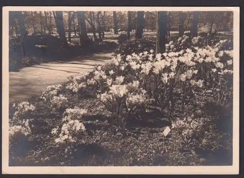 Ansichtskarte Stuttgart Baden Württemberg Reichsgartenschau 1939 n. Klingenthal